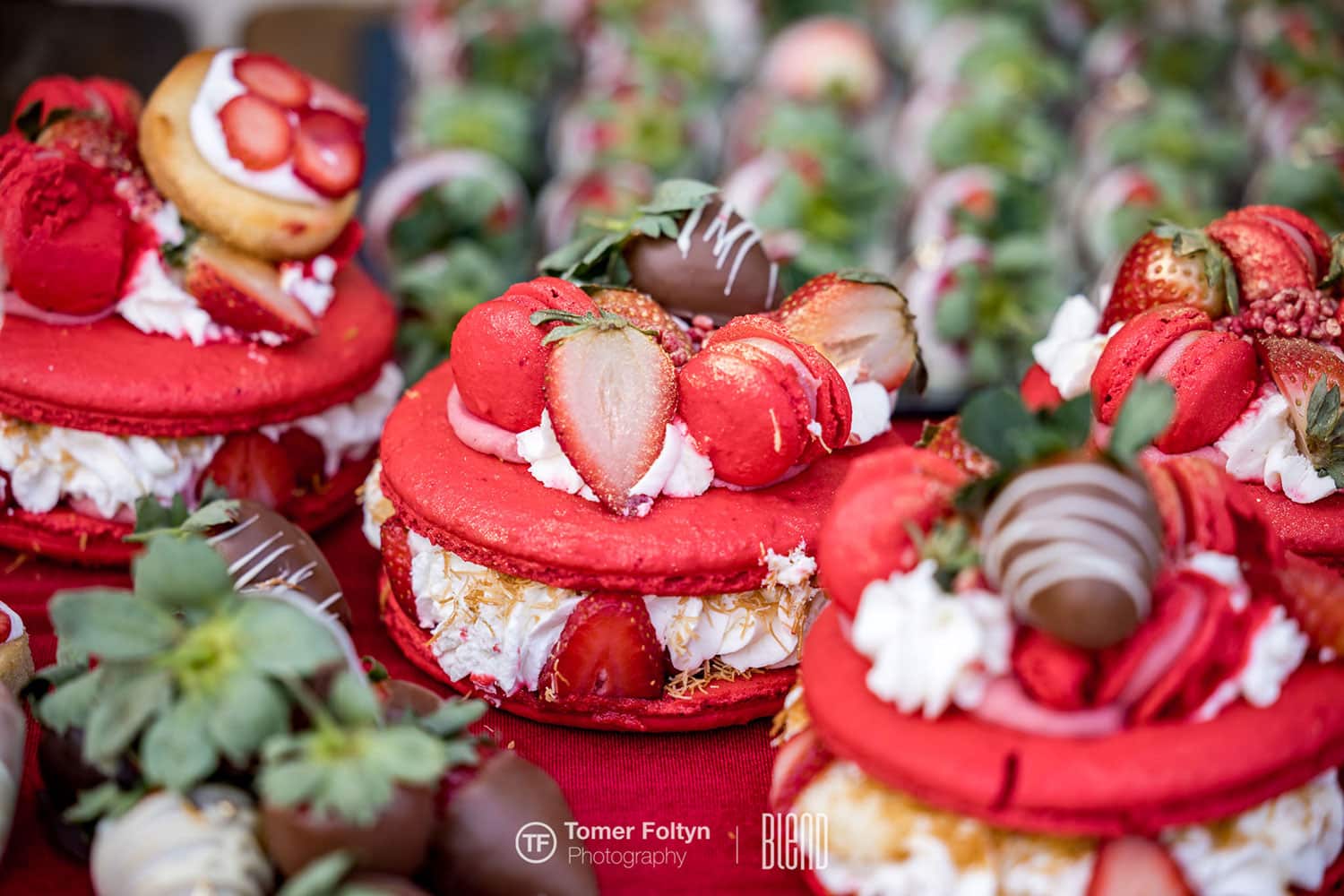 strawberry14.jpg